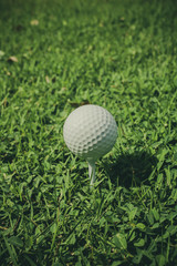 Golf, ball on green grass