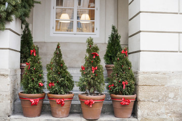 Fototapeta na wymiar Decorated Christmas trees in pots near house