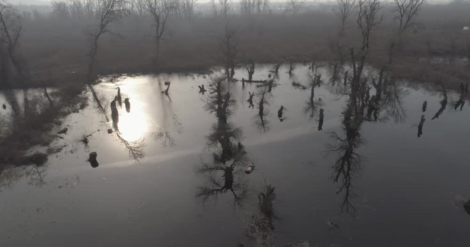 Drone 4K footage of a swamp in winter. Steampunk style. Tree stumps above water. Garbage. Post-apocalyptic scenery. Cold.