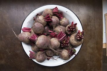 Beets, beets, beet salad, purple beets, root vegetables, healthy vegetables, beets in a bowl, beets in a white bowl
