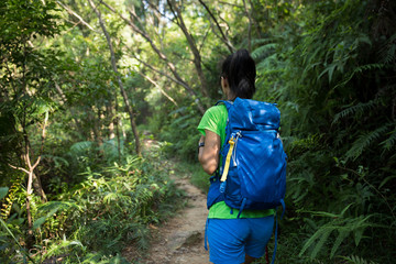 Backpacker hiking in sunny tropical rainforest