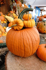 ハロウィーン カボチャ