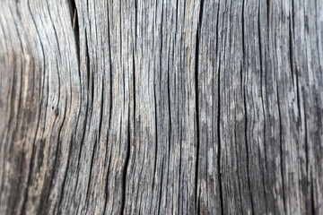 Close up of worn and weathered timber texture