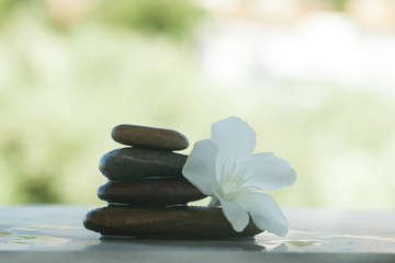 spa flower and stones for massage treatment outdoors with sunlight