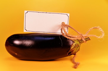 Ripe purple eggplant with tag for text isolated on a yellow background