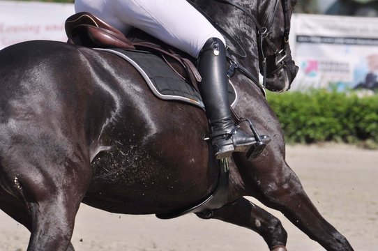 Reitturnier, Springreiten im Detail, ein Reiter  mit seinem Pferd