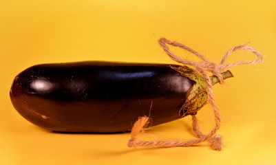 Ripe purple eggplant with rope isolated on a yellow background