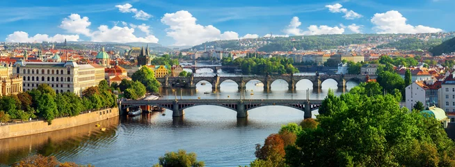 Gordijnen Panorama van Praag © Givaga