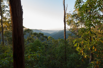 Gheerulla Valley from the Ubajee Lookout