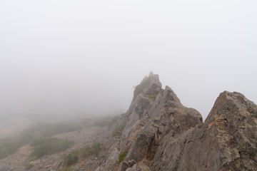 Fototapeta na wymiar Berg im Nebel auf Madeira
