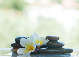 spa objects with flowers and stones for massage treatment on white background outdoors.