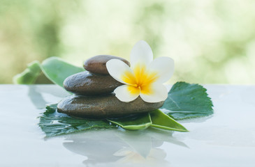 Obraz na płótnie Canvas tropical flower on thw stones with green leaves for massage room with sunlight