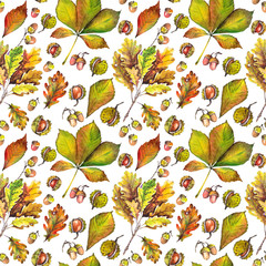 Seamless pattern with oak leaves, chestnut leaves, acorns and chestnuts. Watercolor on white background.
