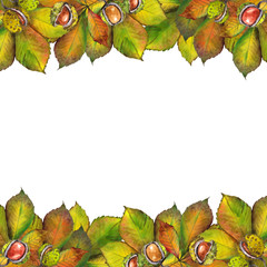 Autumn chestnut leaves border. Watercolor on white background.
