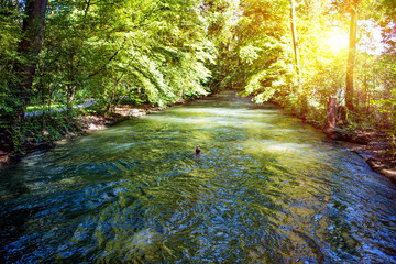 Man swimming in river in forest on summer day.
