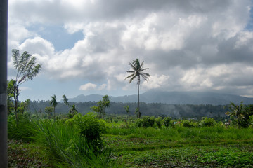 Bali Landscape
