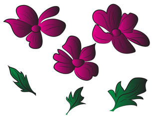 flower abstract vector illustration, beautiful floral composition, purple violet flower set with green leafs