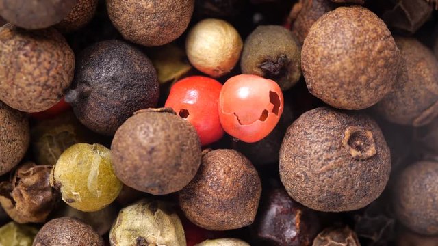 Macro pepper berries. Black, red, white and allspice peppercorns. Slow rotation.
