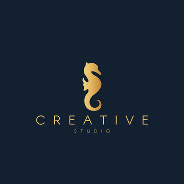 Seahorse logo. Seahorse silhouette. Trendy animal logo design