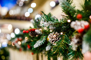 Image of New Year branch of fir-tree with cones, red berries