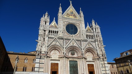 Naklejka premium cathedral in siena italy