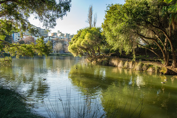 Fototapeta na wymiar Landscape of Perth park
