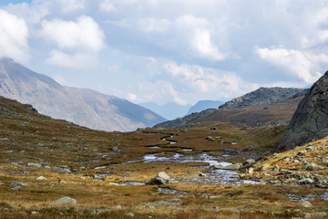 Idyllic view of Adamello Brenta National Park with rocks and a river , marshland, South Tyrol, Italy