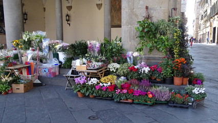 Fototapeta na wymiar flowers on street