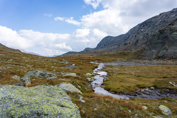 Idyllic view of Adamello Brenta National Park with rocks and a river , marshland, South Tyrol, Italy