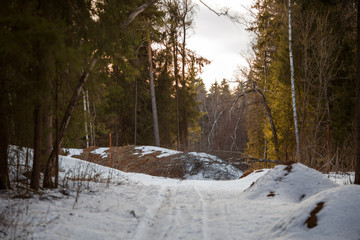 Fototapeta na wymiar Image of snow trail and trees in forest