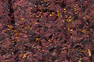 Wine-making. Technology of wine production. The folk tradition of making wine. Wine production in Moldova. The ancient tradition of grape processing.