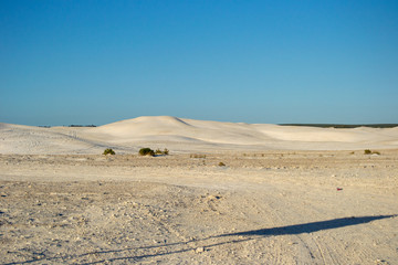 Dunes at Sunset in Lancelin