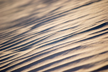 Dunes at Sunset in Lancelin