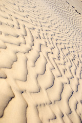 Dunes at Sunset in Lancelin