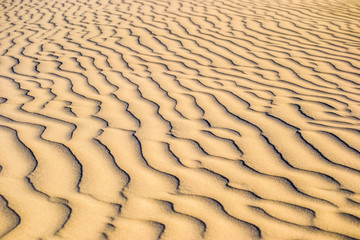 Dunes at Sunset in Lancelin