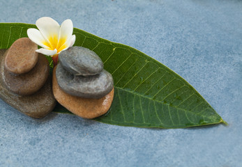 Fototapeta na wymiar Flowr between stones for spa massage room