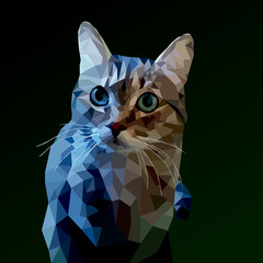 cat low poly on a dark background
