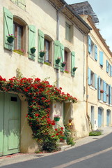 Fototapeta na wymiar Ville de Pézenas, façade colorée, volets verts et bleus, rosier grimpant rouge sur le mur,département de l'Hérault, France