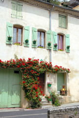 Fototapeta na wymiar Ville de Pézenas, maison fleurie, porte et volets verts, escalier de pierre, rosier grimpant rouge sur la façade, département de l'Hérault, France