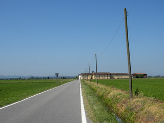 Fototapeta na wymiar Countryside near Vercelli, Italy, at summer