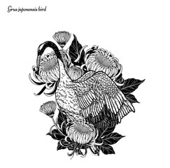 Red-crowned crane with Chrysanthemum vector by hand drawing.Beautiful bird on white background.Grus japonensis art highly detailed in line art style.Chinese bird for tattoo or wallpaper.