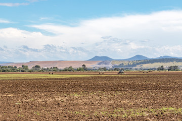 Field ploughed ready for planting