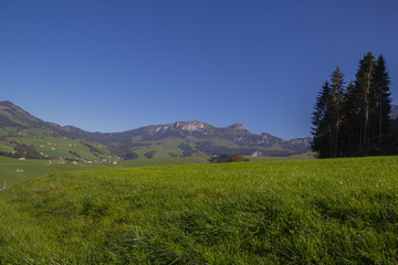 Fototapeta na wymiar Ebenalp - Säntis - Bodensee - Schweiz