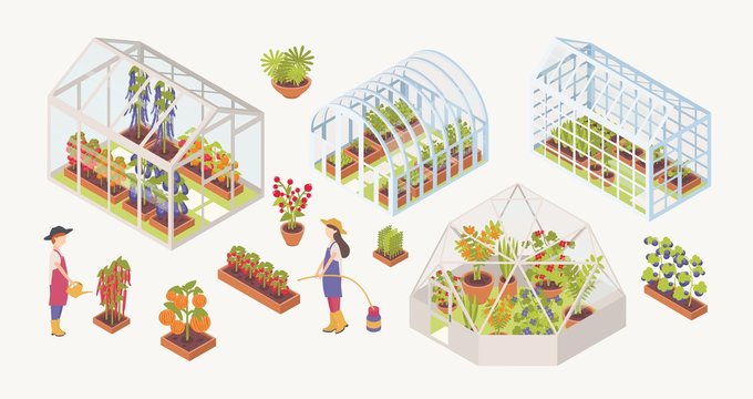 Bundle of various glass greenhouses with plants, flowers and vegetables growing inside, gardeners, farmers or agricultural workers isolated on white background. Colorful isometric vector illustration.