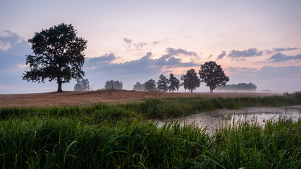 Poranek w Dolinie Narwi © podlaski49