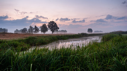 Poranek w Dolinie Narwi © podlaski49