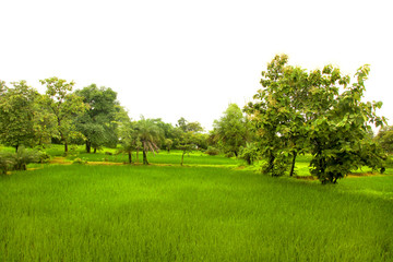 Landscape of the mountain ranges of Western Ghats at state of Maharashtra near wakanda dam in India.