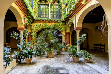 typical Andalusian patio of Seville in Andalucia, Spain.