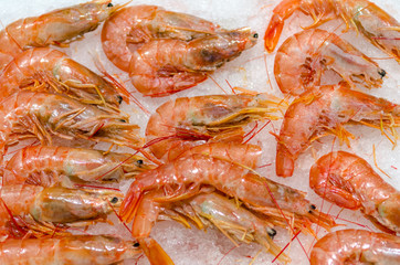 some raw red prawns on crushed ice