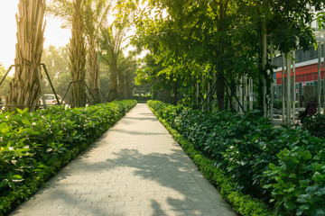 Urban walking road among green tree in modern apartment buildings in big city.